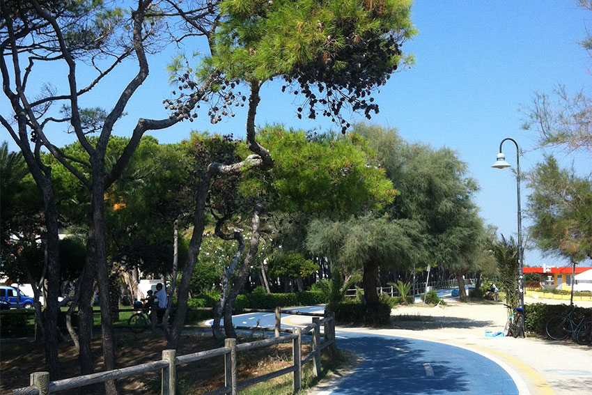 Camping & Village Eucaliptus