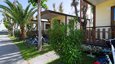 Camping & Village Eucaliptus